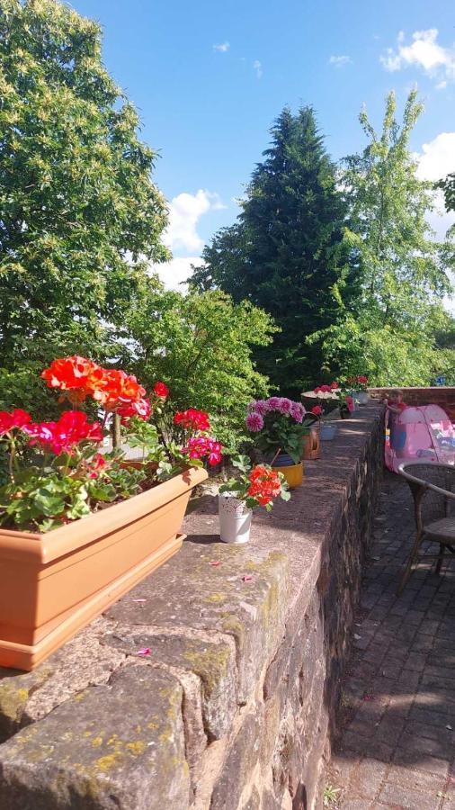 Privat Appartment Fockelberg Kültér fotó